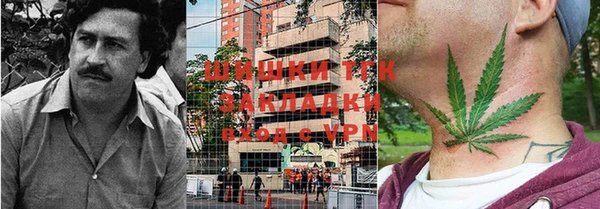 PSILOCYBIN Балабаново