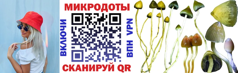 Галлюциногенные грибы мухоморы  Обь 